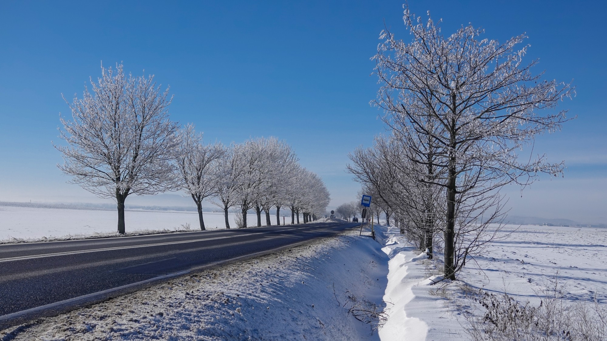 Kraina Narnii - zdjęcie 40