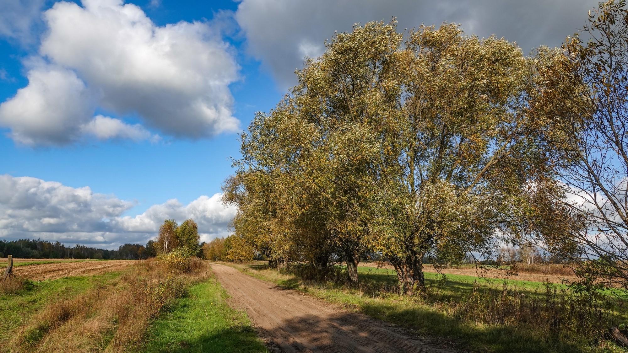 Wszystkie barwy jesieni - zdjęcie 36