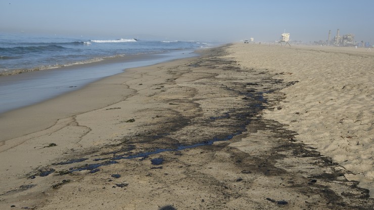 USA. Długa na 10 km plama ropy, martwe ptaki i ryby po wycieku u wybrzeży Kalifornii