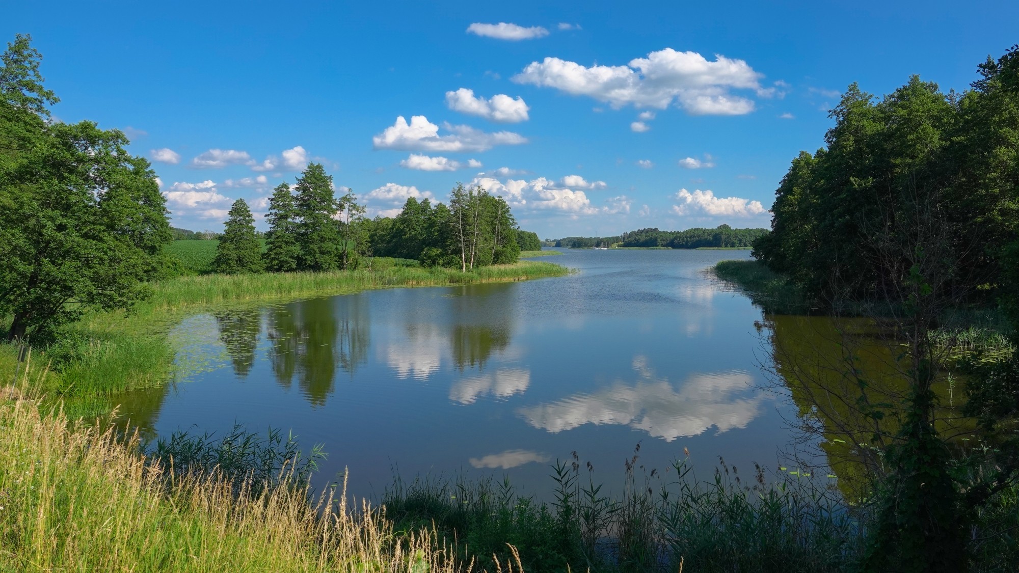 100 najpiękniejszych zdjęć 2021 roku - zdjęcie 31