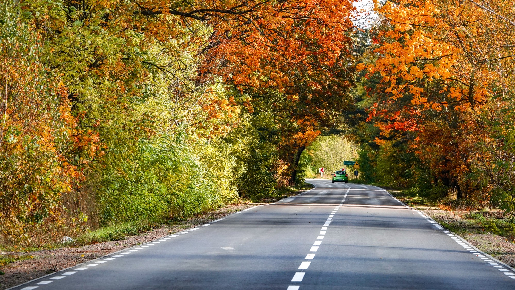 Wszystkie barwy jesieni - zdjęcie 4