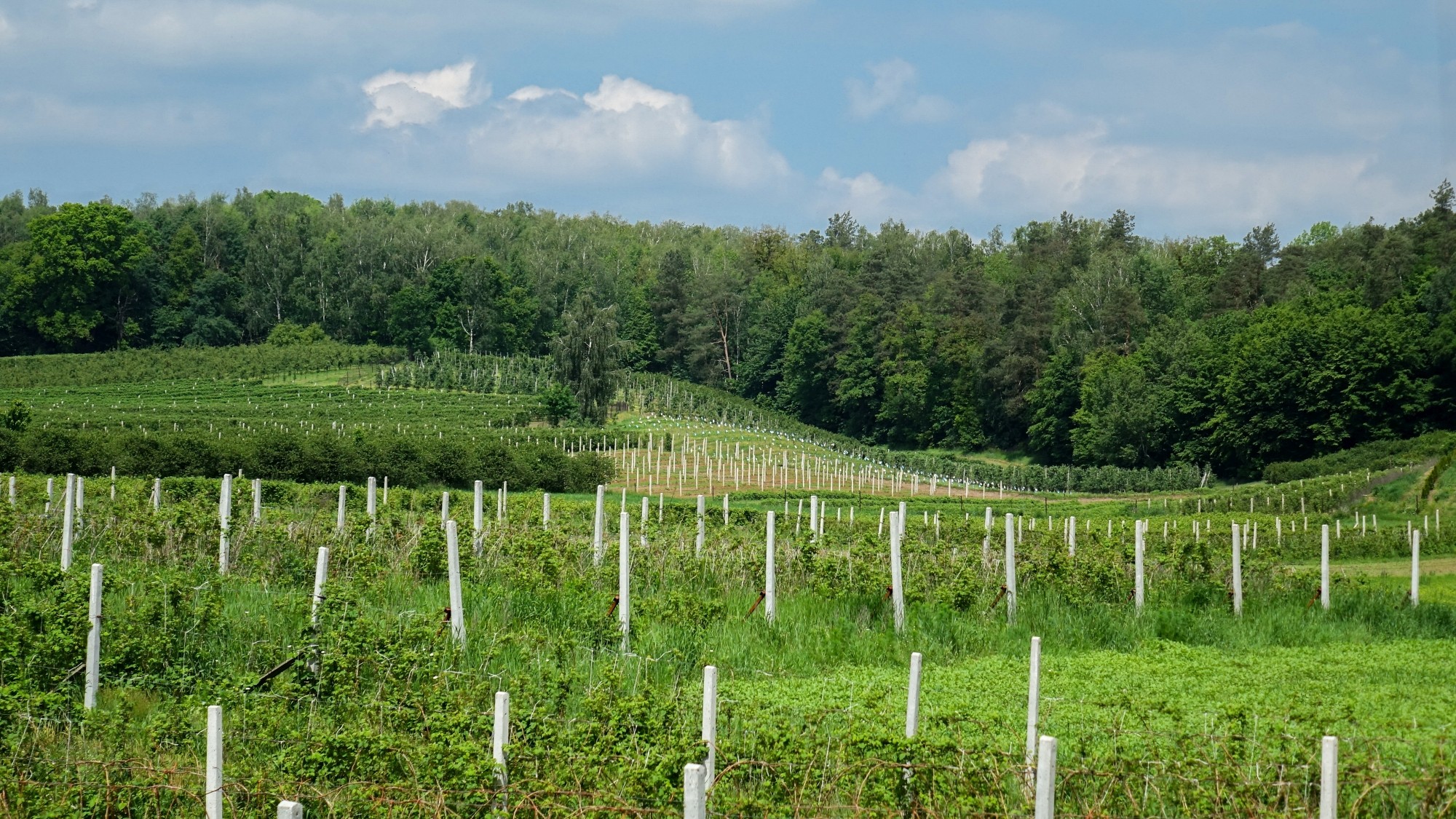 Całe piękno polskiej prowincji - zdjęcie 99