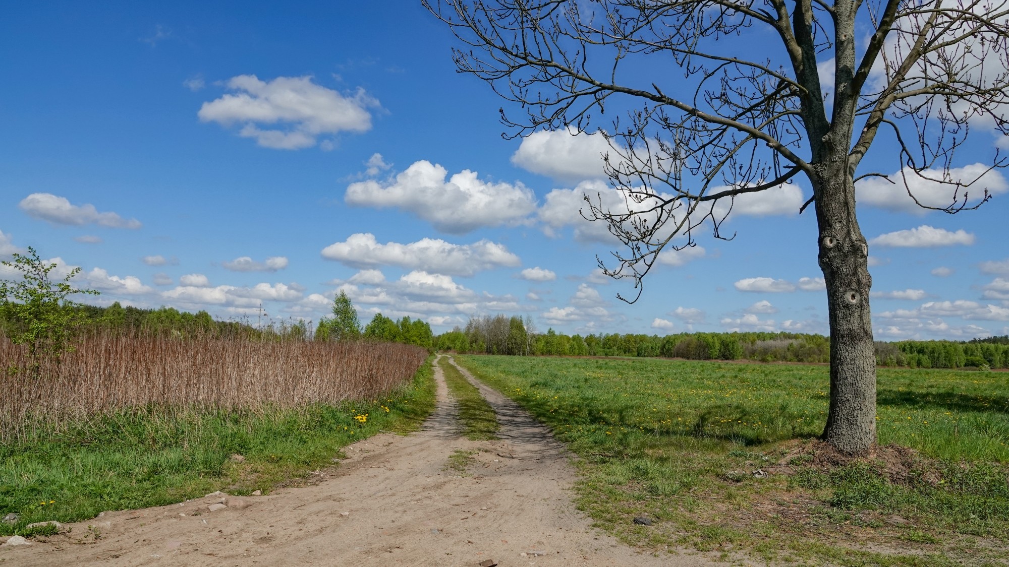 Kwiecień w obiektywie - zdjęcie 16