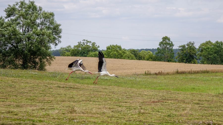 Fot. TwojaPogoda.pl