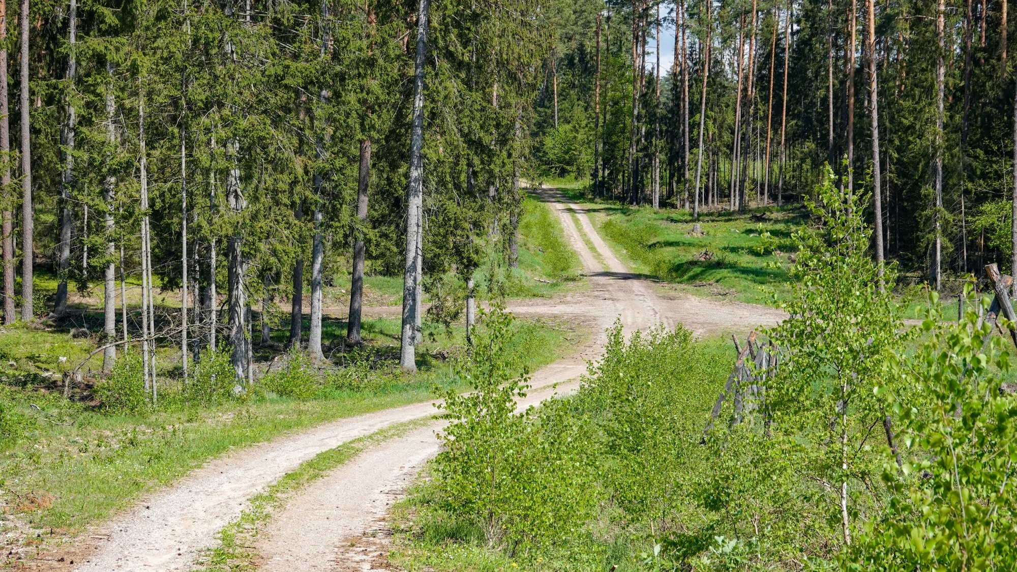 Od morza po góry - zdjęcie 26