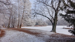 29.11.2020 10:00 Spadł pierwszy śnieg w tym sezonie. „Nie trzeba było na niego czekać, jak przed rokiem, aż do wiosny”