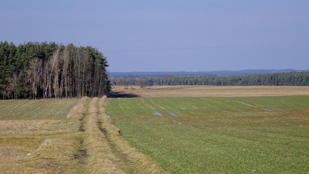 Marzec w obiektywie - zdjęcie 25
