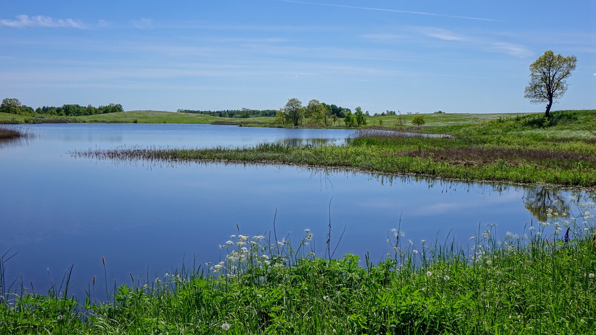 Nad morzem, jeziorami i rzekami - zdjęcie 81