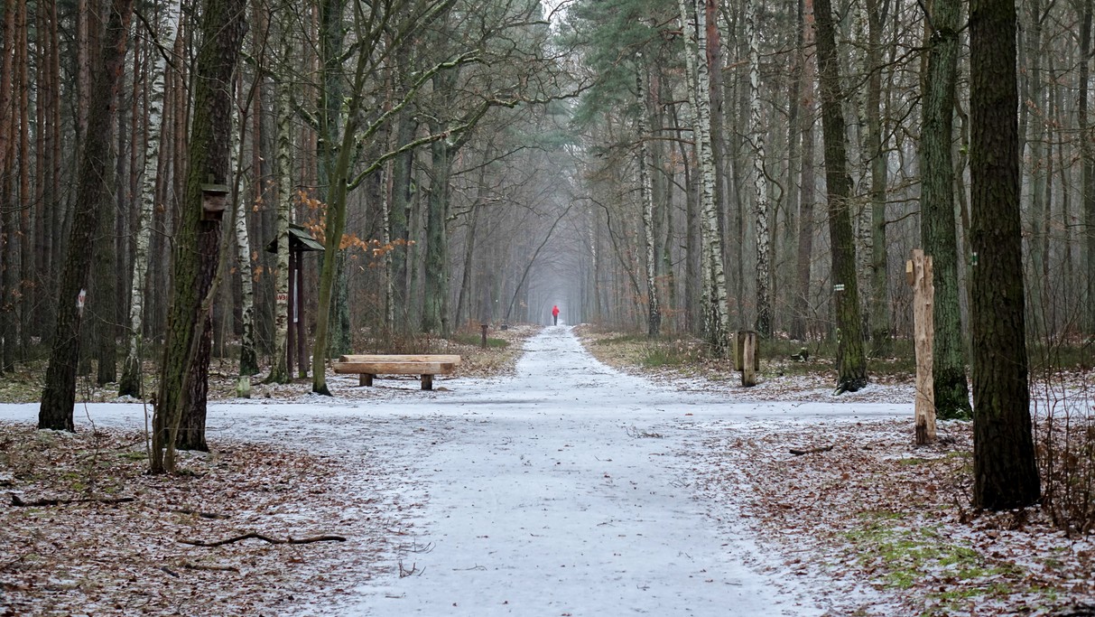 Styczeń w obiektywie - zdjęcie 41