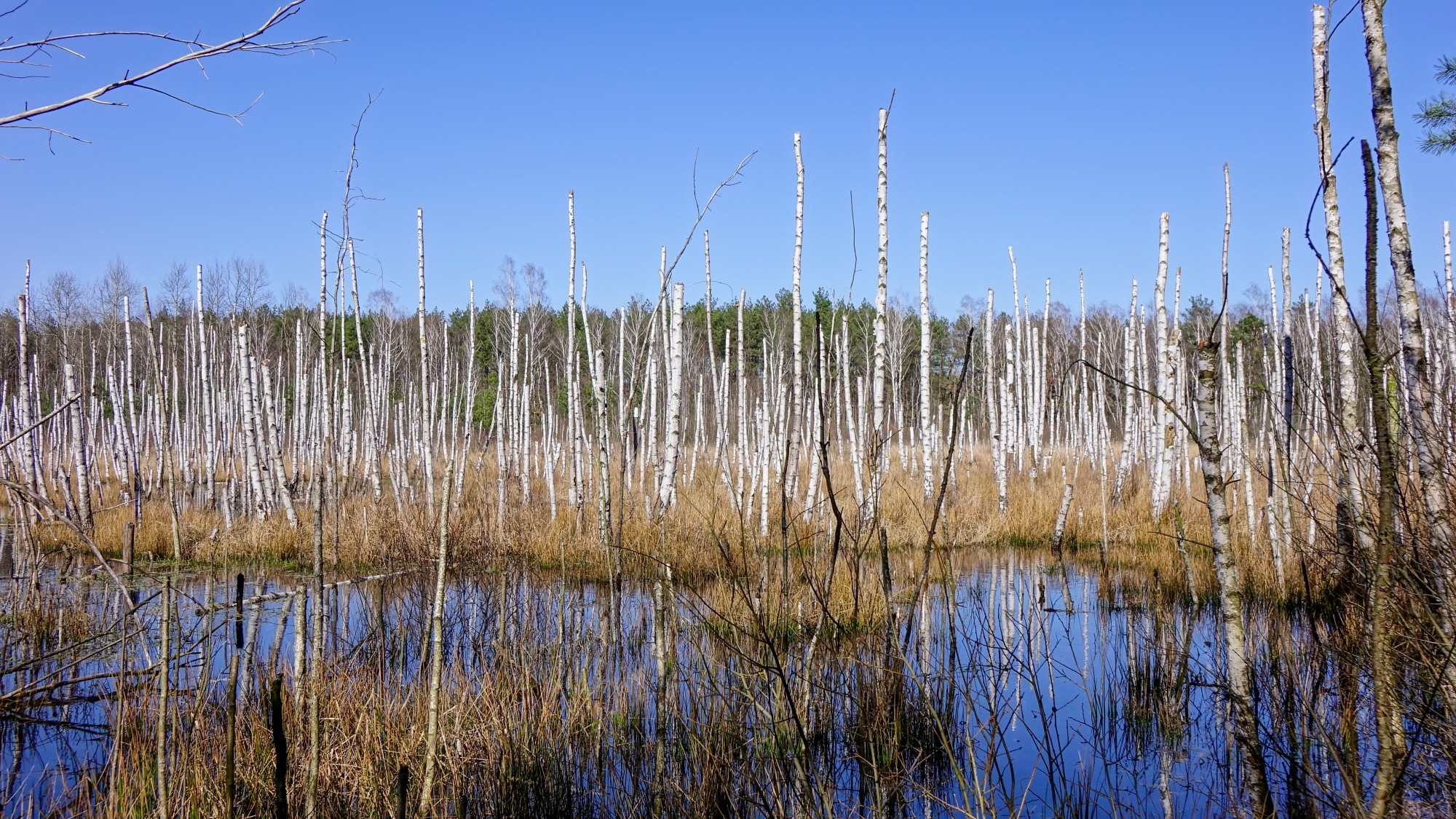 Odkryj piękno Polski w wakacje - zdjęcie 60
