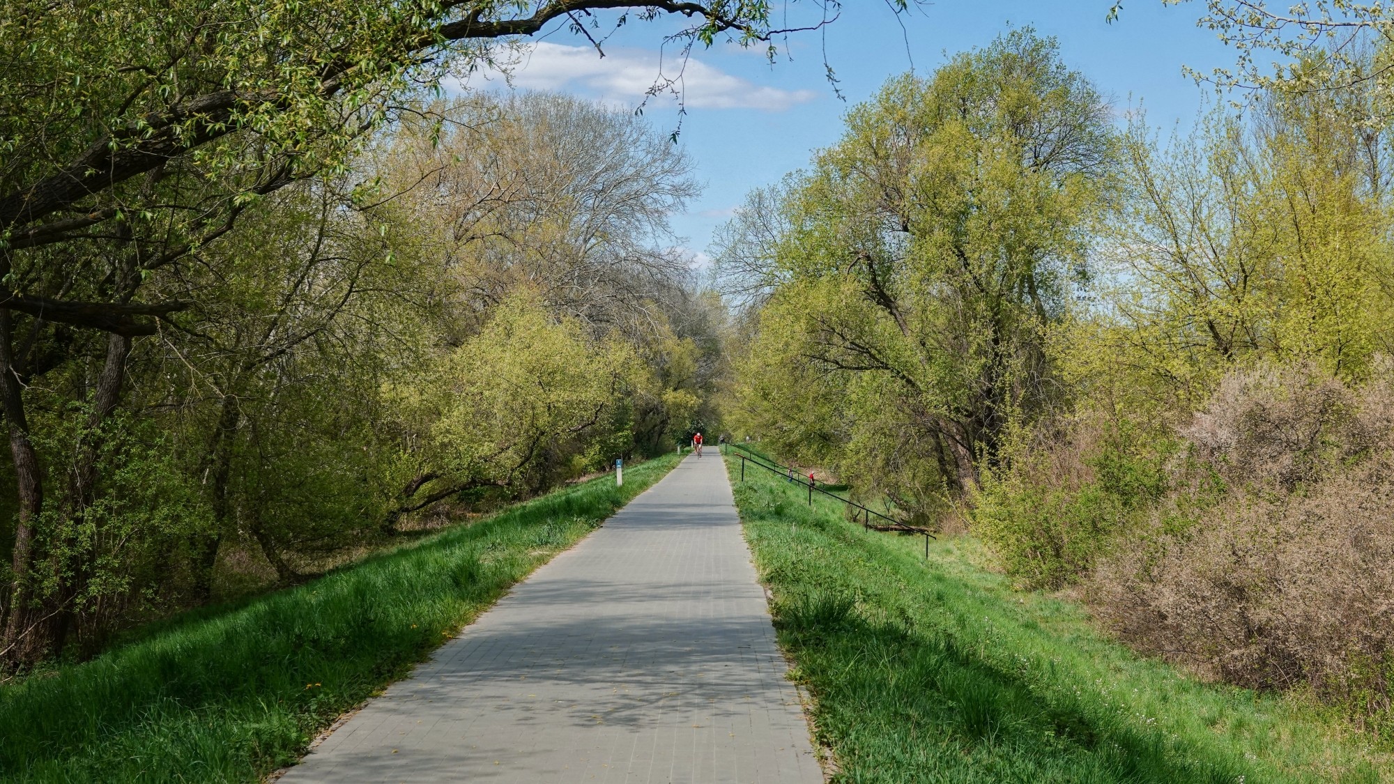100 najpiękniejszych zdjęć 2020 roku - zdjęcie 33