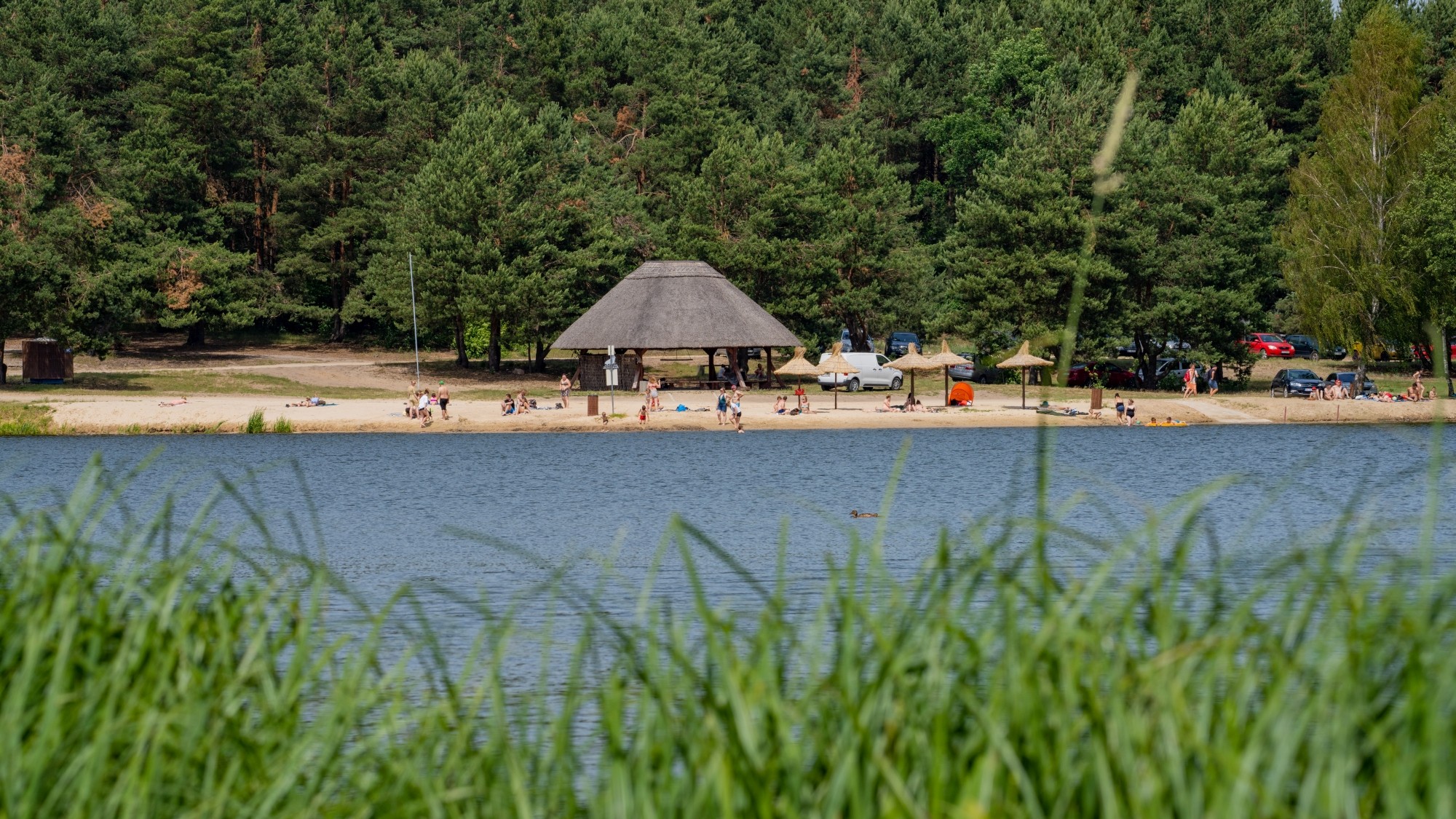 Lato na prowincji - zdjęcie 44