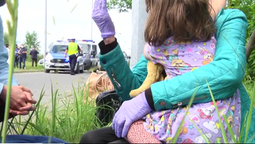 Władze Belgii i polski sąd: 4-letnia Ines powinna wrócić do ojca