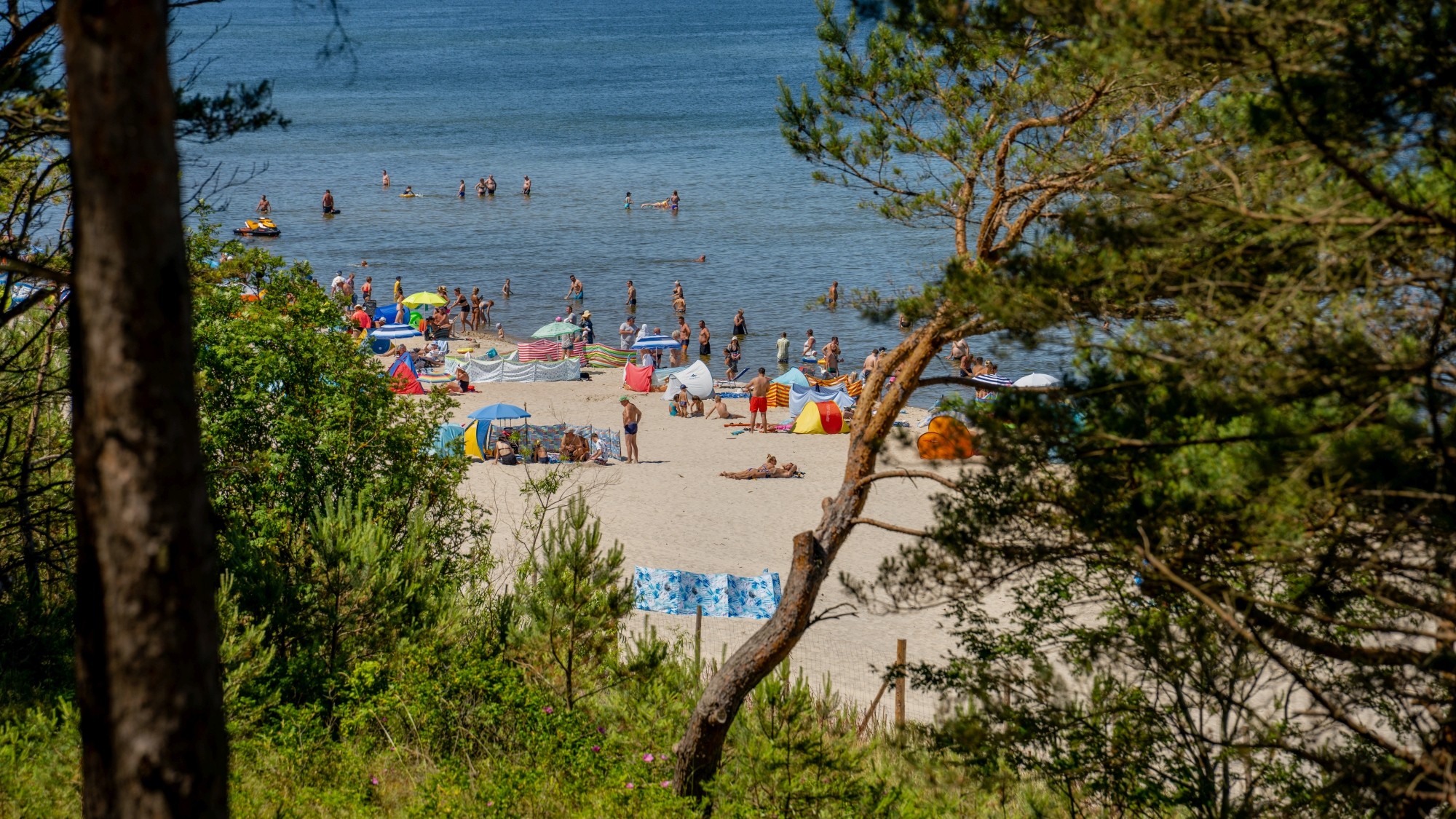 Kolory lata - zdjęcie 14