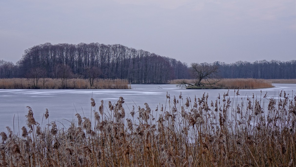 Styczeń w obiektywie - zdjęcie 32