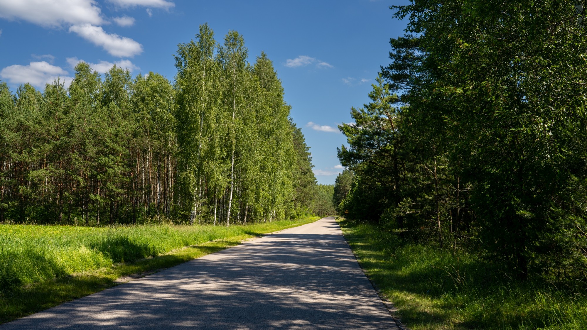 Kolory lata - zdjęcie 67