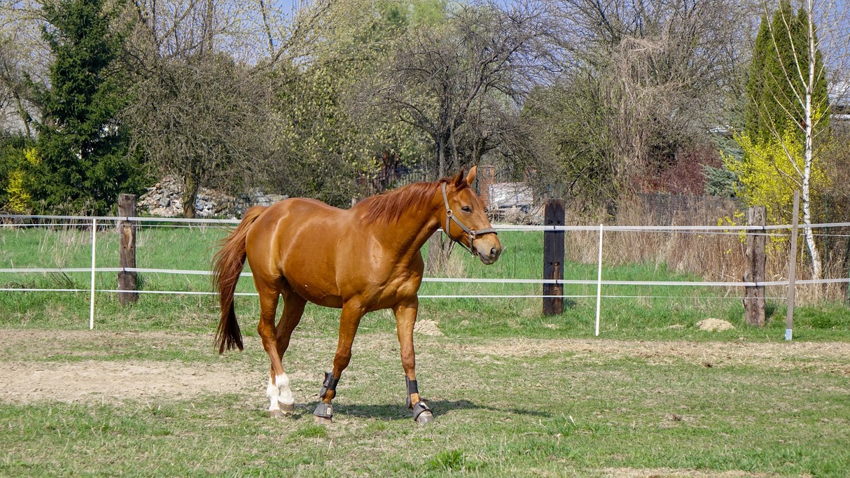 Kwiecień w obiektywie - zdjęcie 8