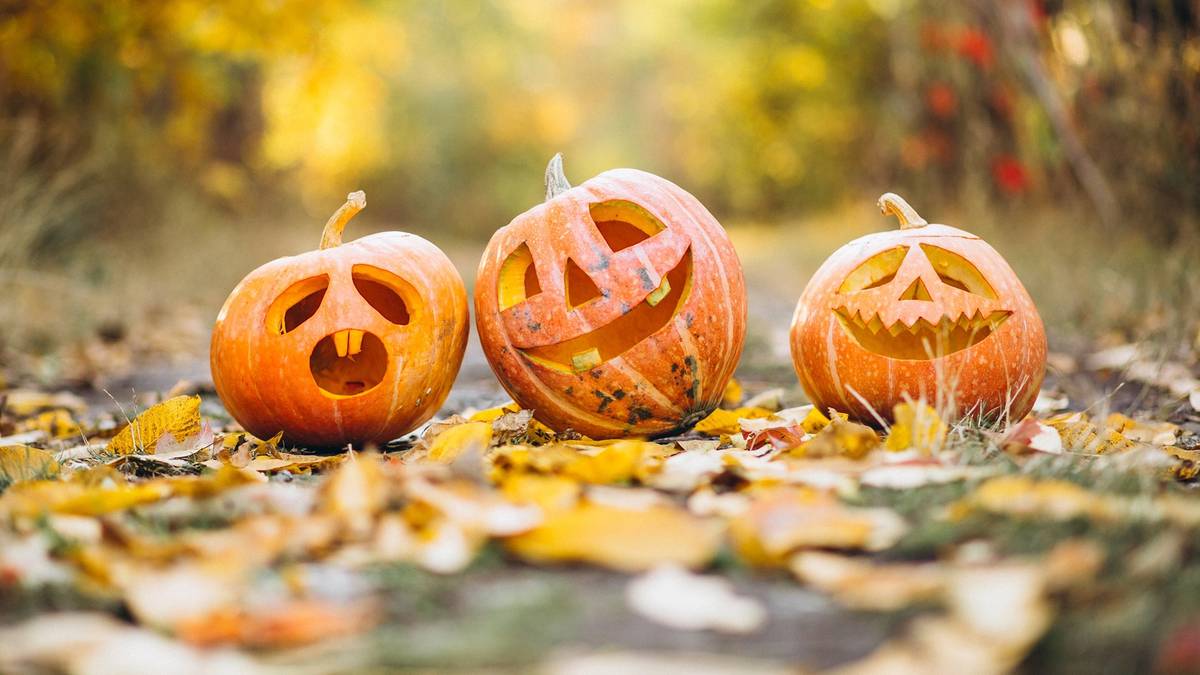 Czy katolik może obchodzić Halloween? Jasne stanowisko duchownych