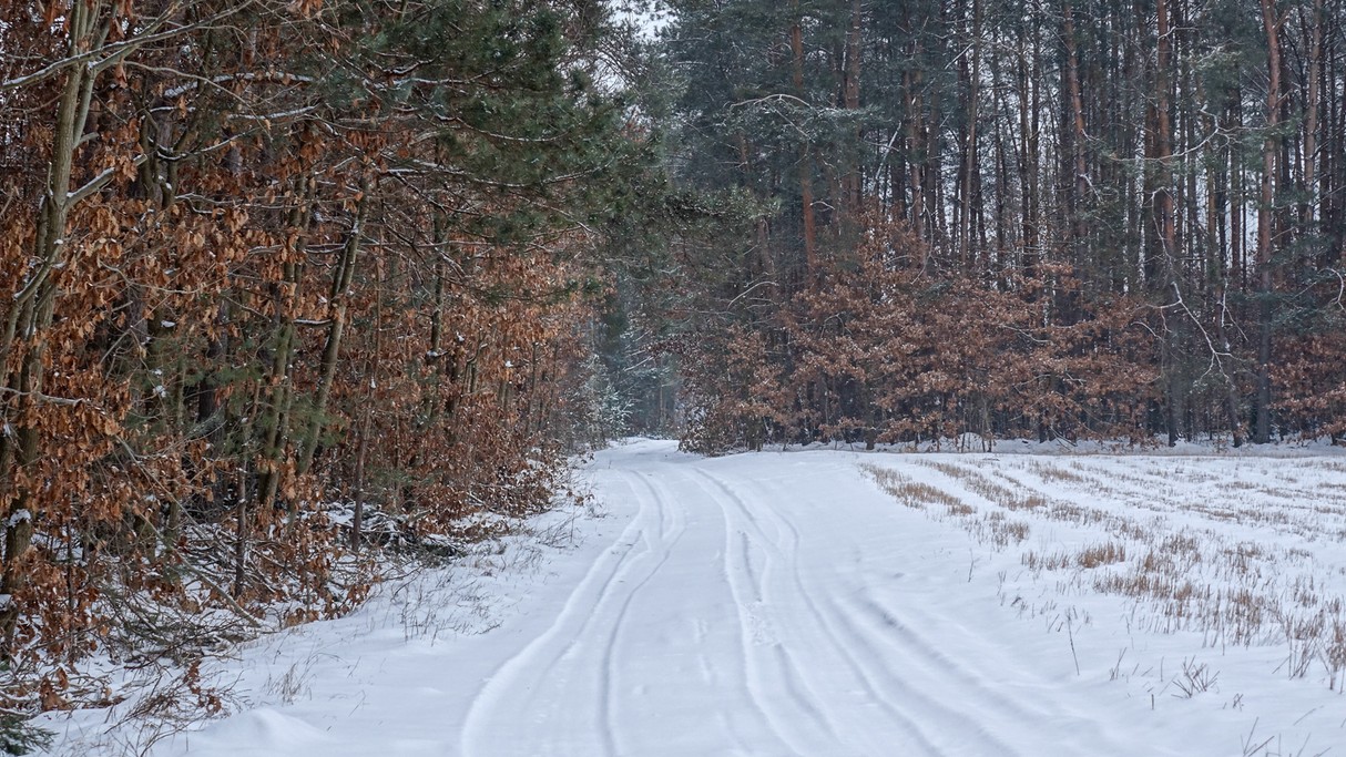 Styczeń w obiektywie - zdjęcie 70