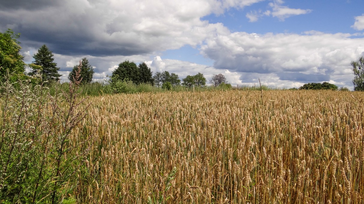 Piękno polskich krajobrazów - zdjęcie 39