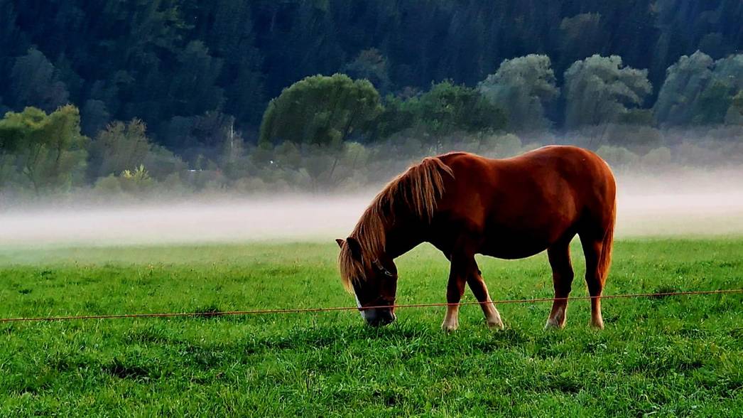 Magurski Park Narodowy. Cisza, spokój i dzika natura