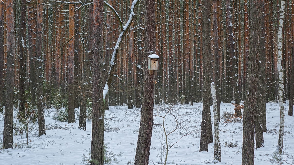 Styczeń w obiektywie - zdjęcie 35