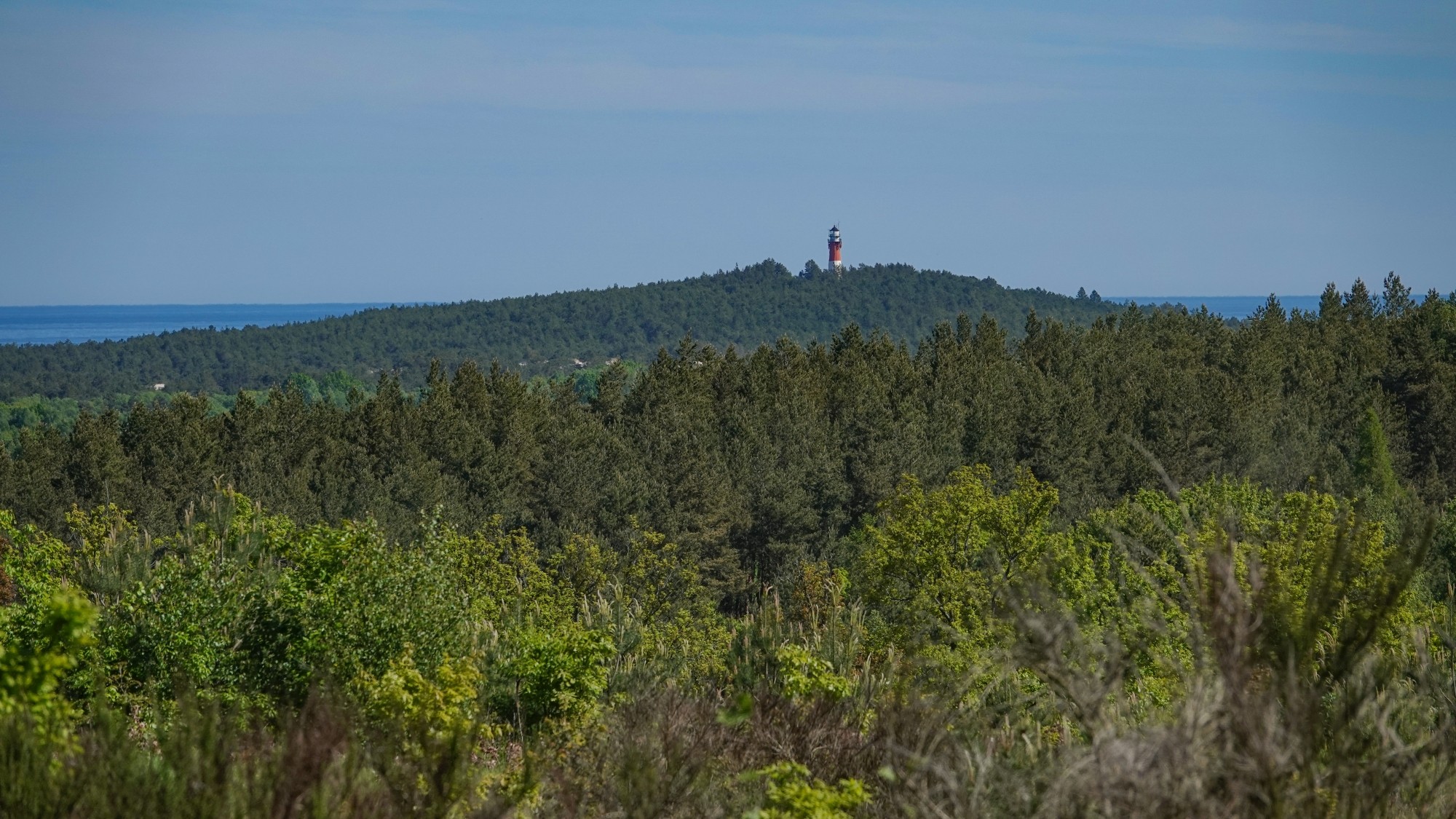 Lato w plenerze - zdjęcie 20