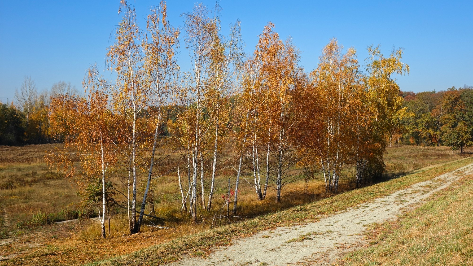Jesień w górach, lasach i nad jeziorami - zdjęcie 56