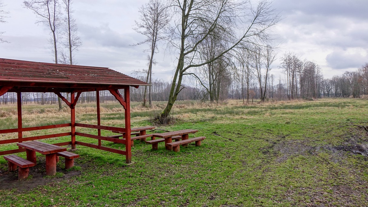 Luty w obiektywie - zdjęcie 50