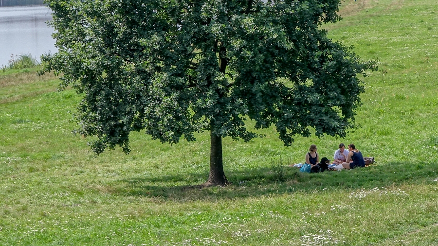 17.06.2018 10:00 Prognoza 16-dniowa: Co nas czeka w pogodzie do końca czerwca i na początku lipca?