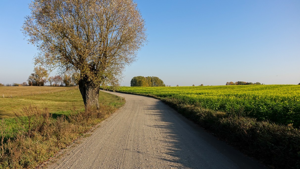 Październik w obiektywie - zdjęcie 28