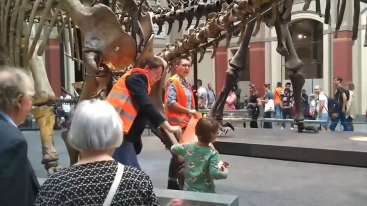 Niemcy: Protest aktywistek w Muzeum Historii Naturalnej. Przykleiły się obok szkieletu dinozaura