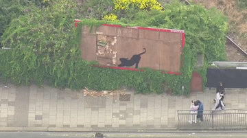 Afera wokół dzieł Banksy'ego. Kolejne szybko zniknęło