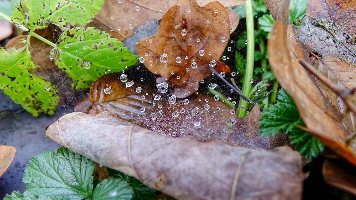 Grudzień w obiektywie - zdjęcie 19