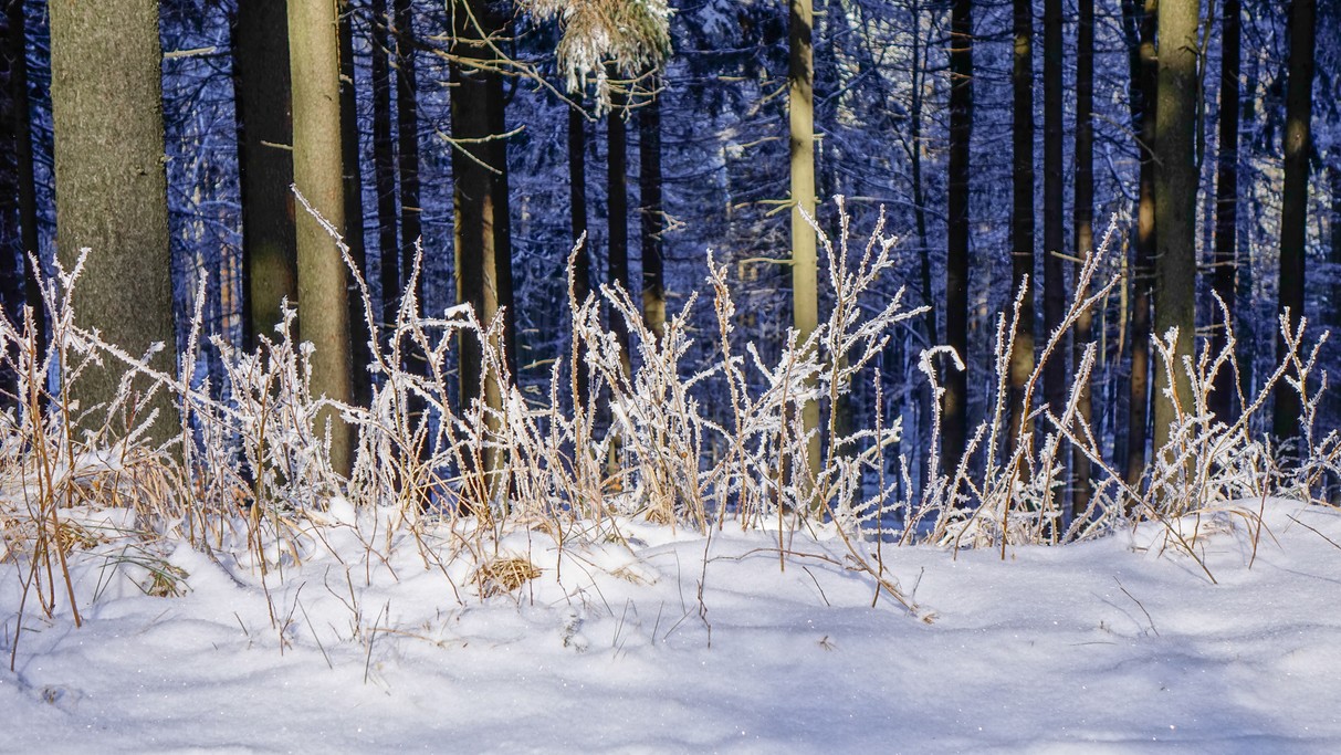 Luty w obiektywie - zdjęcie 36