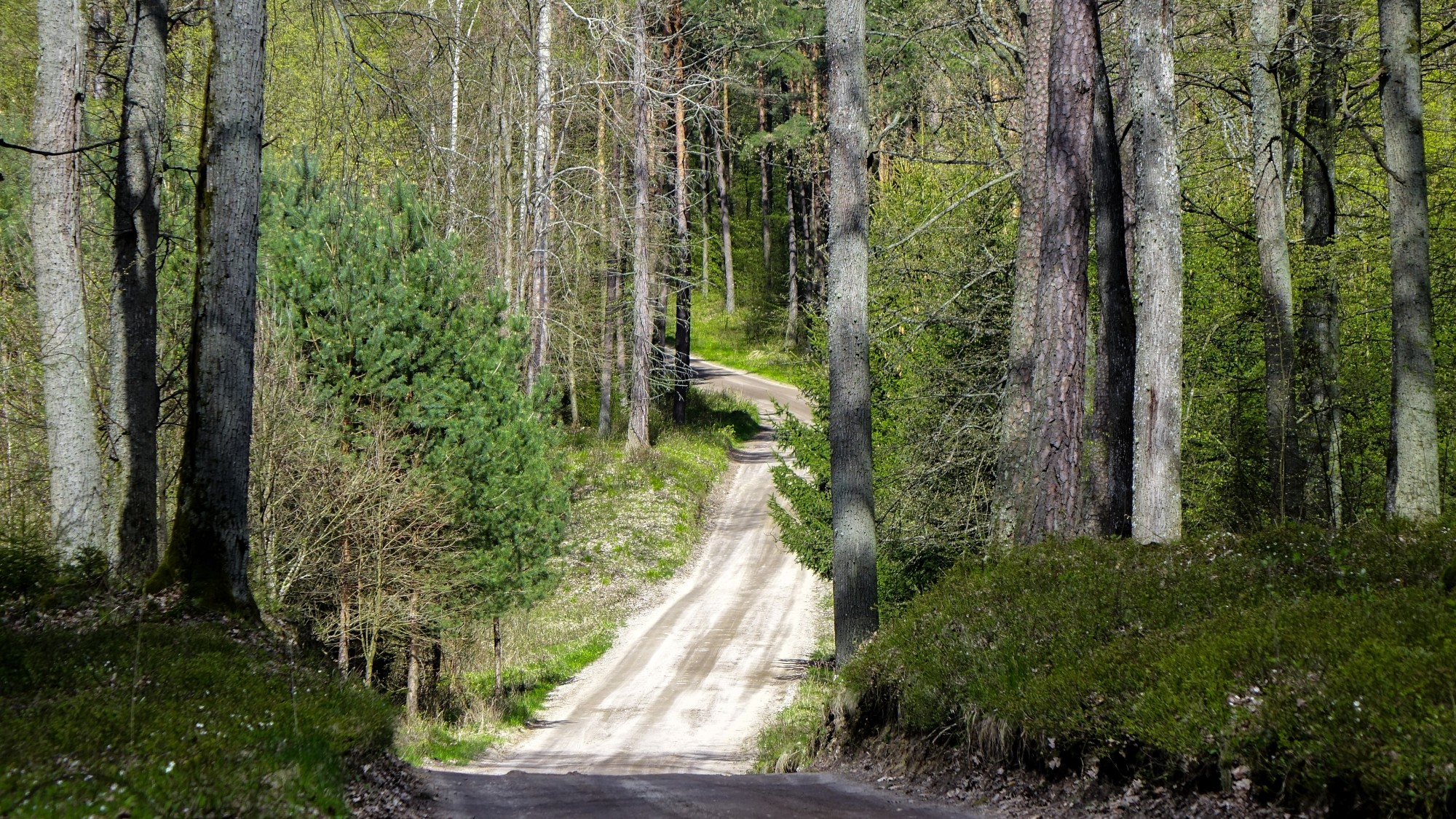 Maj w obiektywie - zdjęcie 14