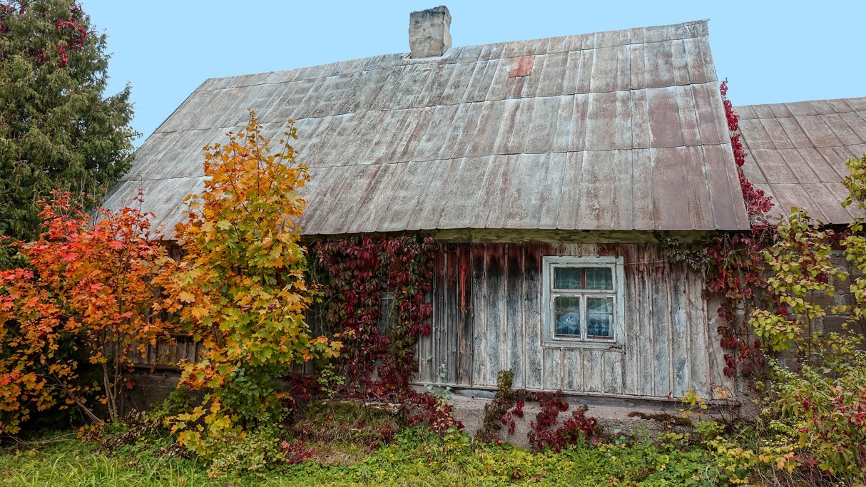 Jesienne krajobrazy za miastem - zdjęcie 4