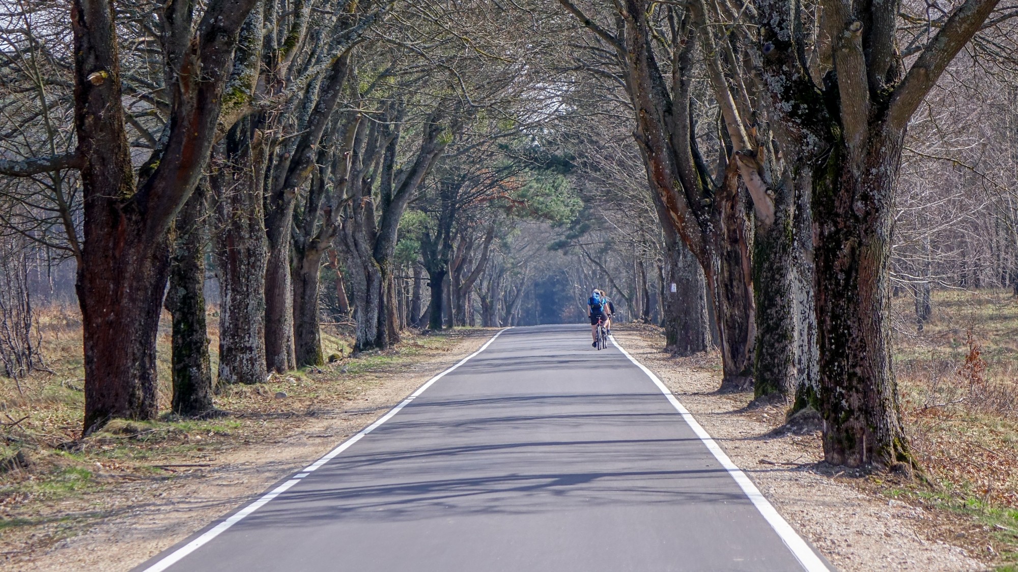 Ludzie na łonie natury - zdjęcie 88