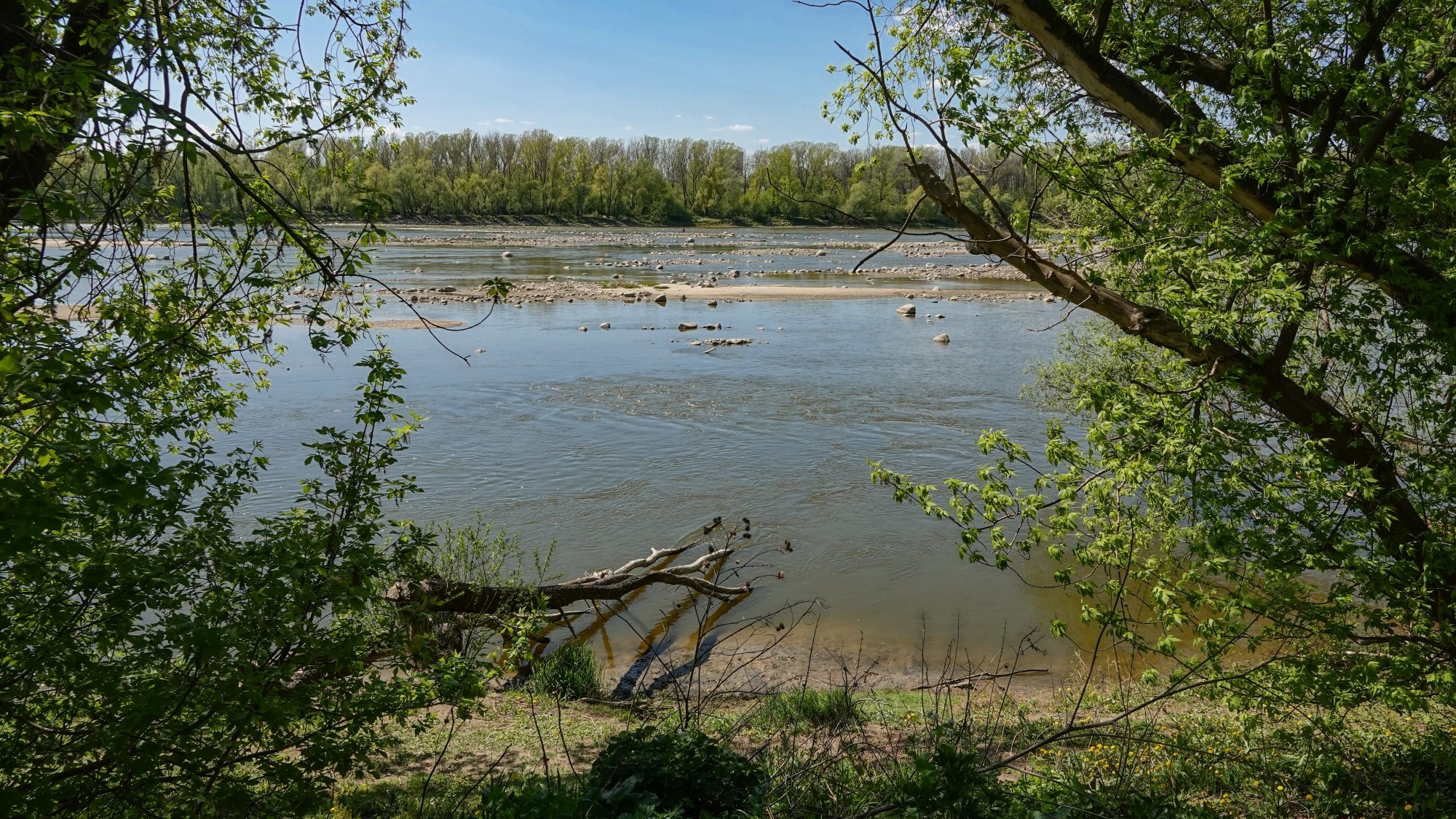 Kwiecień w obiektywie - zdjęcie 17