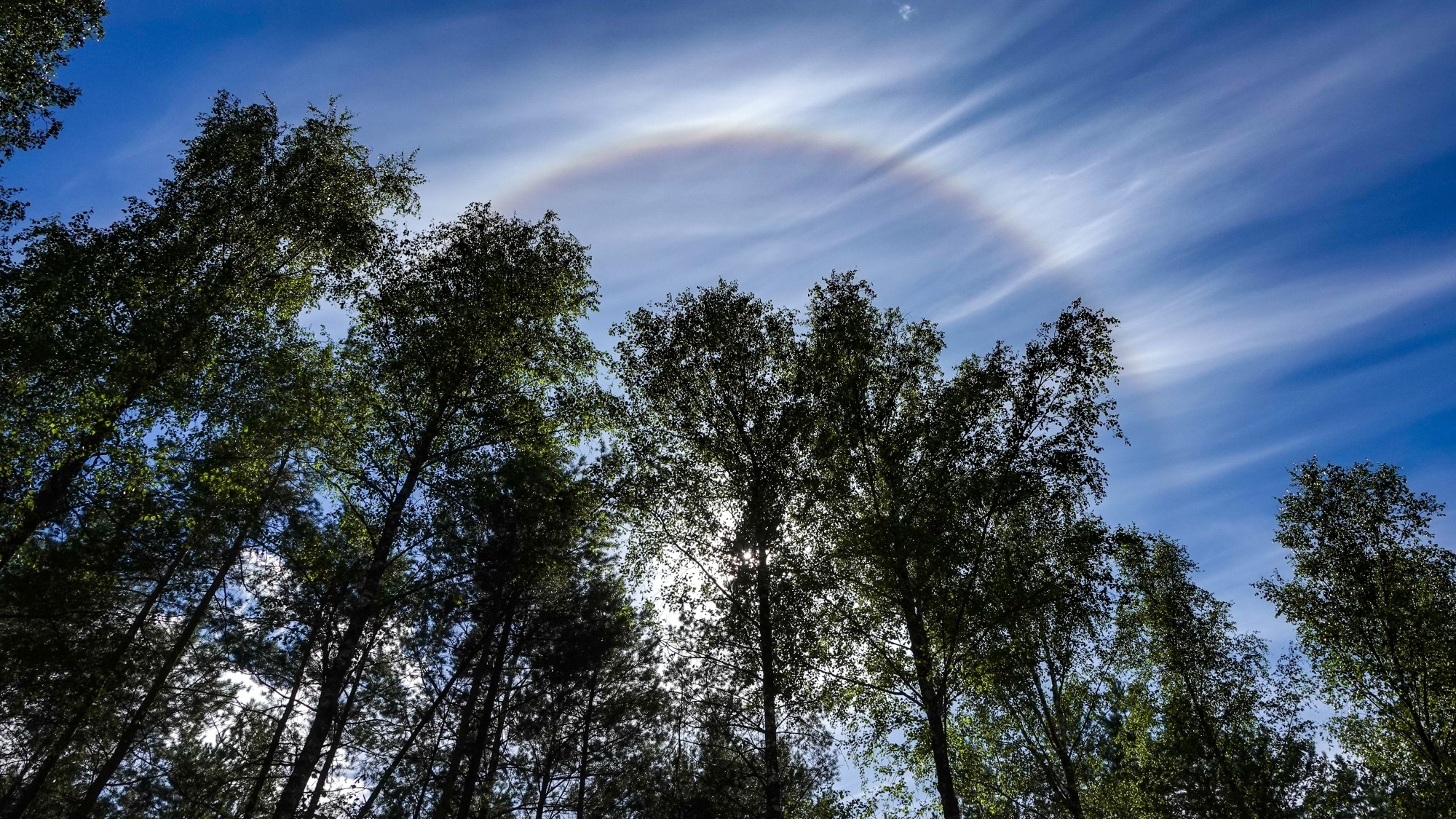 100 najpiękniejszych zdjęć 2020 roku - zdjęcie 52