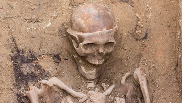 W Poznaniu znaleziono szkielet z XVII w. ze śladami trepanacji czaszki