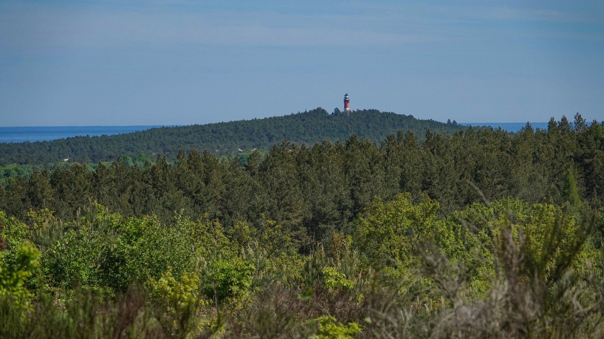 100 najpiękniejszych zdjęć 2021 roku - zdjęcie 95