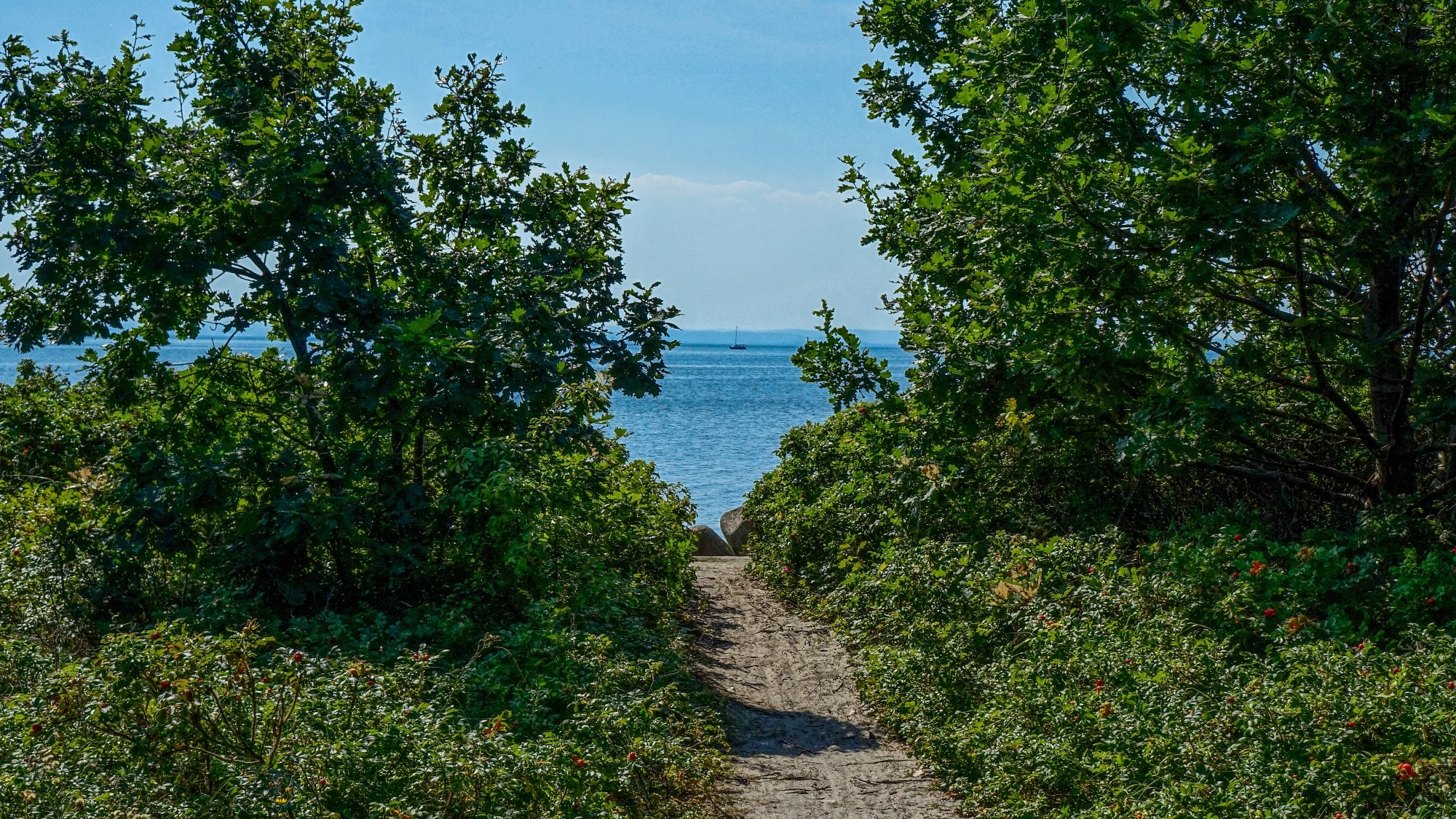 Wakacyjne podróże - zdjęcie 60