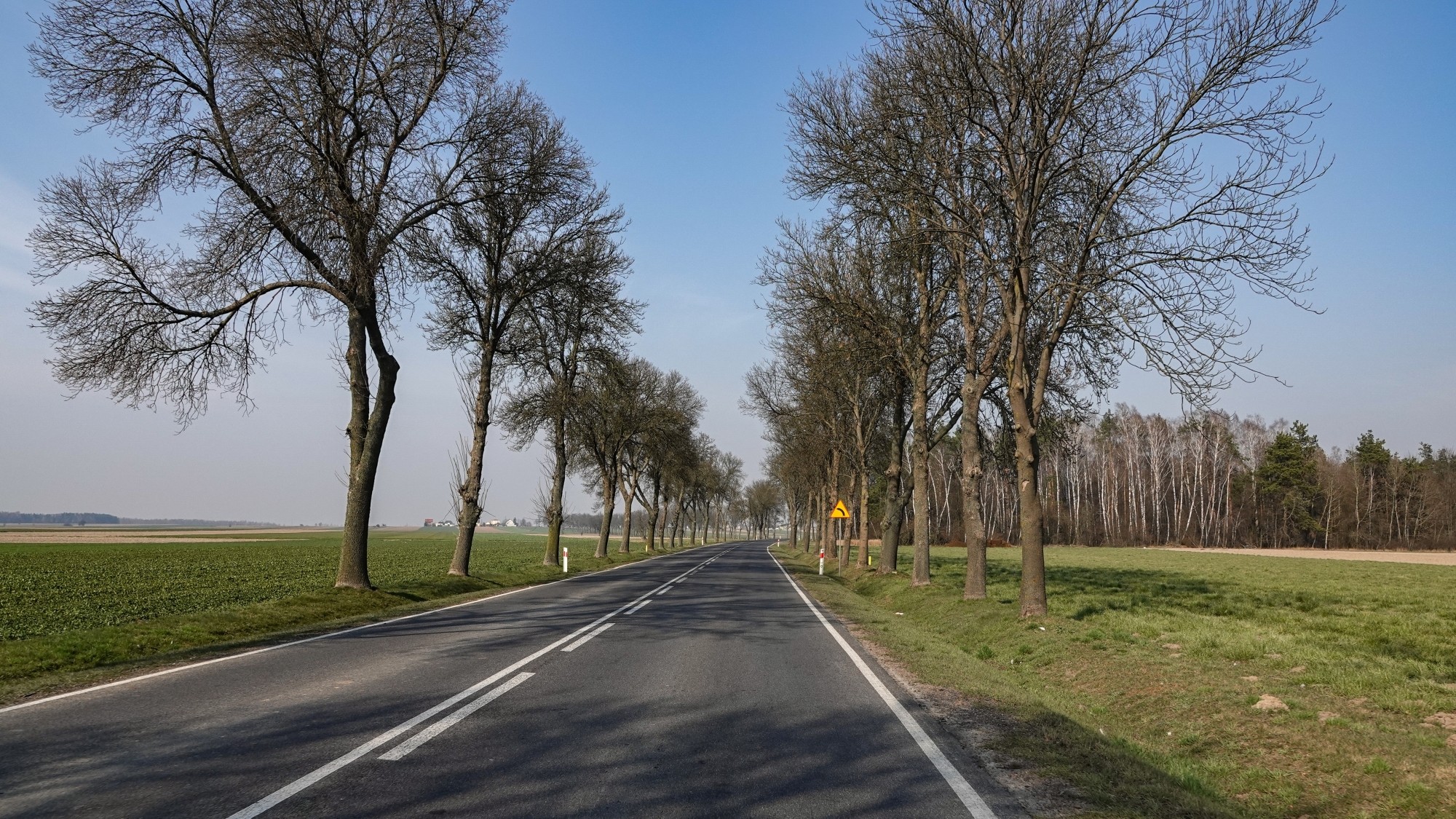 Marzec w obiektywie - zdjęcie 12