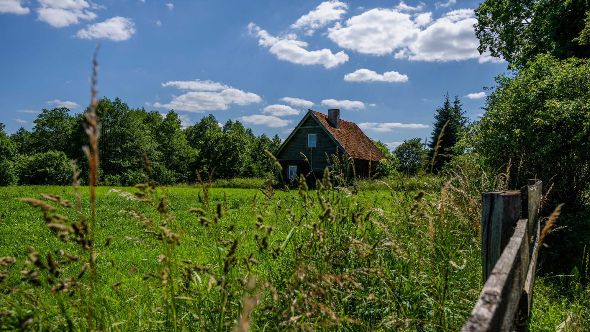 Kolory lata - zdjęcie 24