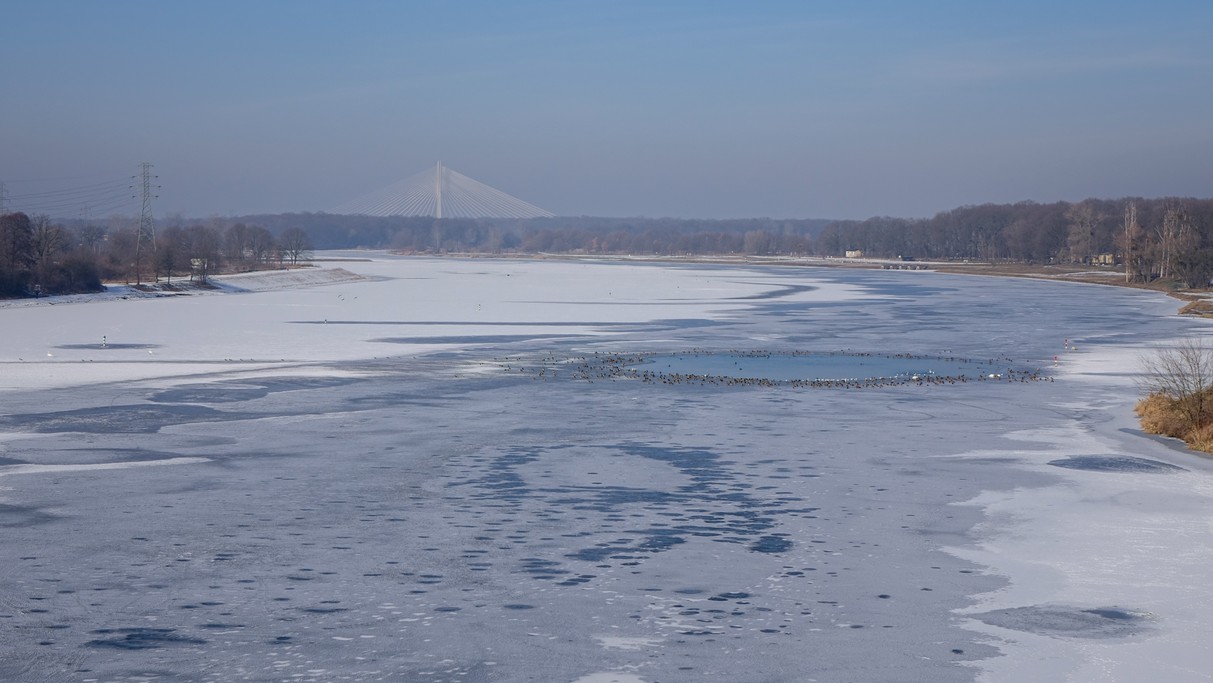 Nad morzem, jeziorami i rzekami - zdjęcie 31