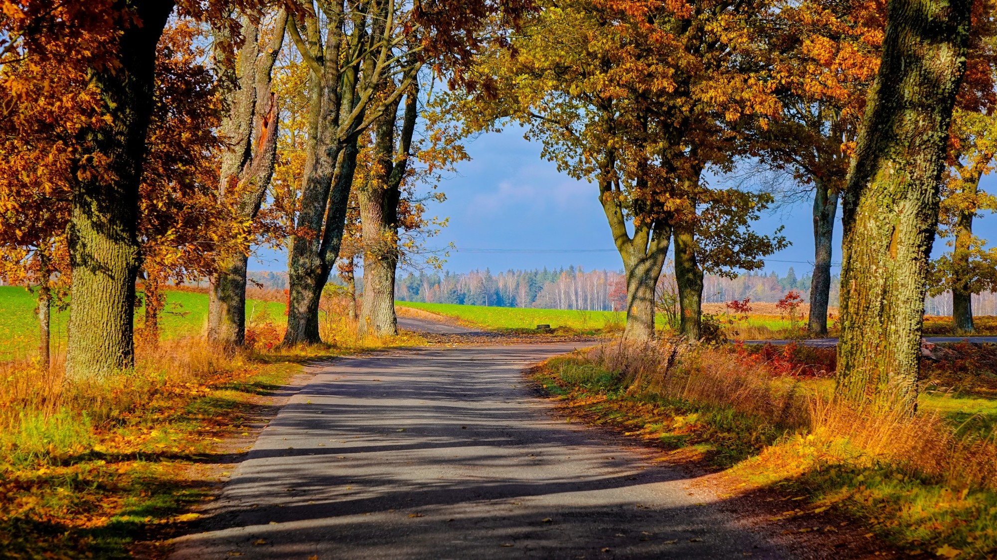 Kraina jesieni - zdjęcie 4