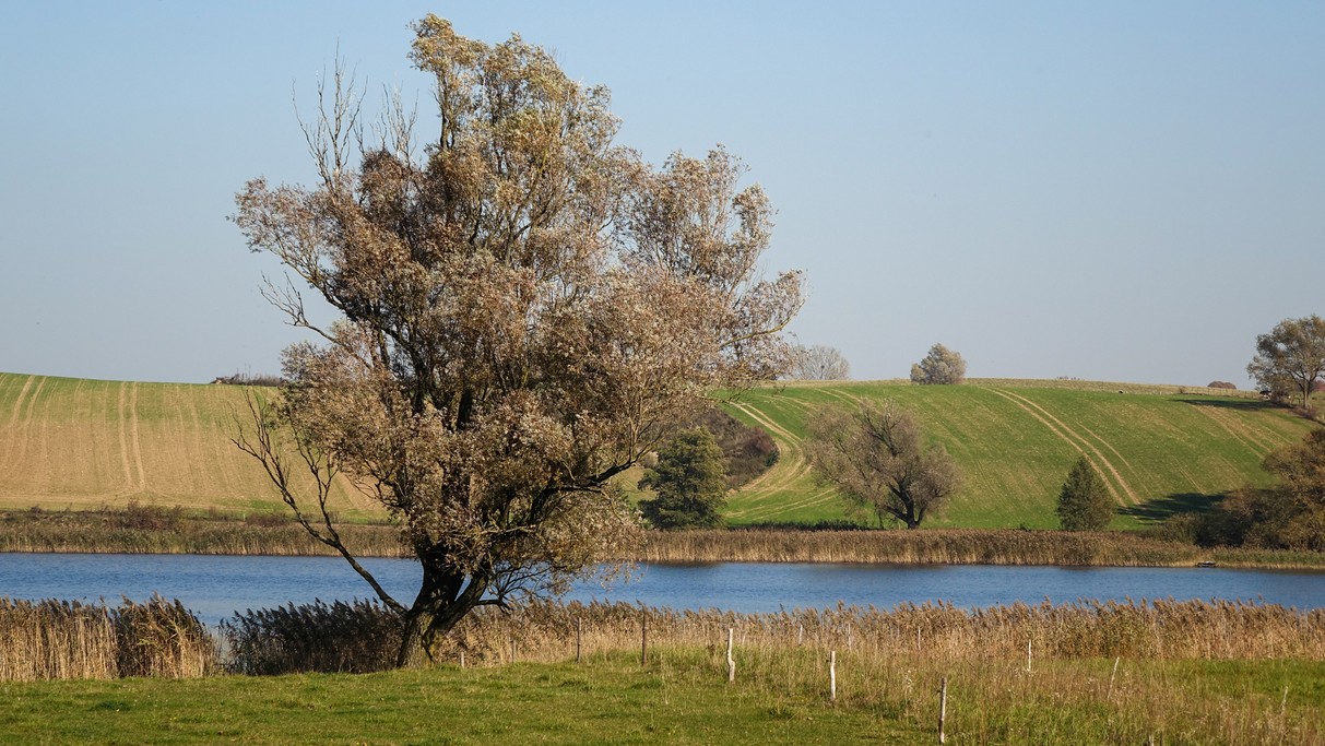 Jesienne krajobrazy za miastem - zdjęcie 15