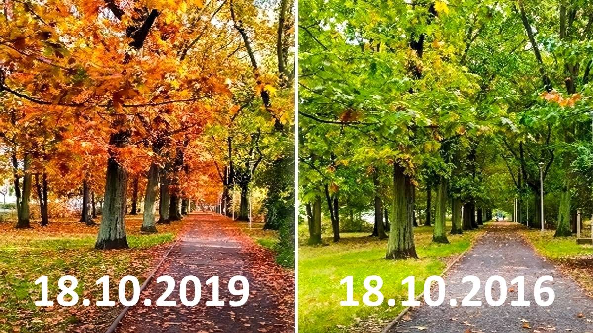 Od 21 lat robimy zdjęcie w tym samym dniu. Zaskakujące porównanie rok po roku