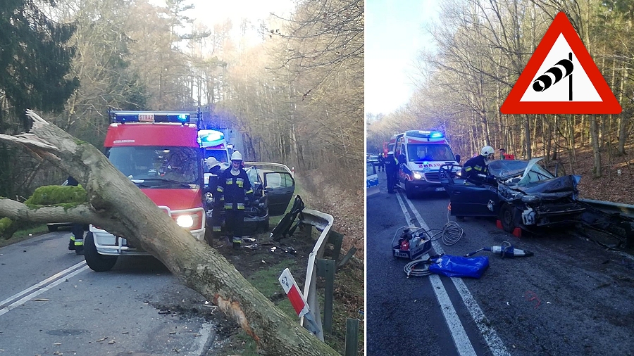 Drzewo spadło na drogę nr 163 w rejonie Połczyna Zdroju na Pomorzu, raniąc 2 osoby. Fot. Facebook / OSP Połczyn-Zdrój.